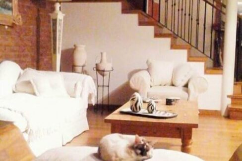 1674749611aswre-whatsapp-image-2023-01-25-at-141452-1