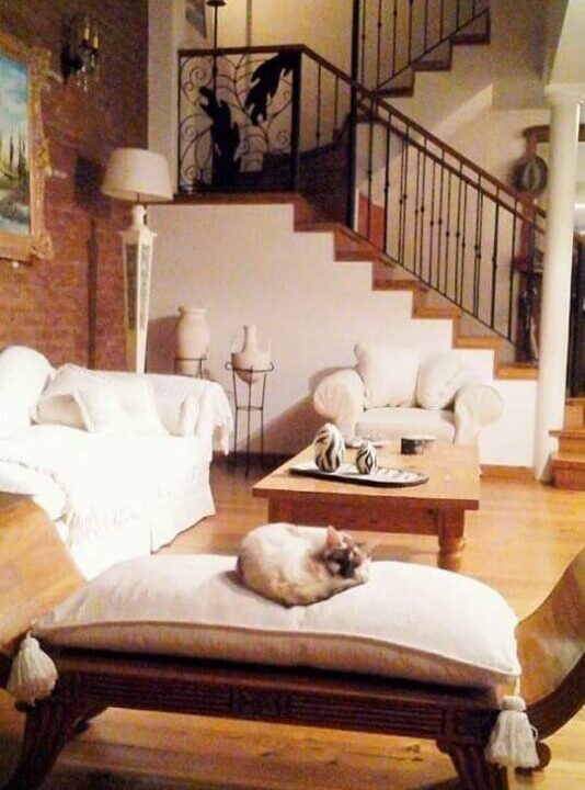 1674749611aswre-whatsapp-image-2023-01-25-at-141452-1