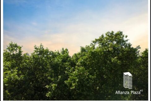 1683552090lbeey-whatsapp-image-2023-05-04-at-103819