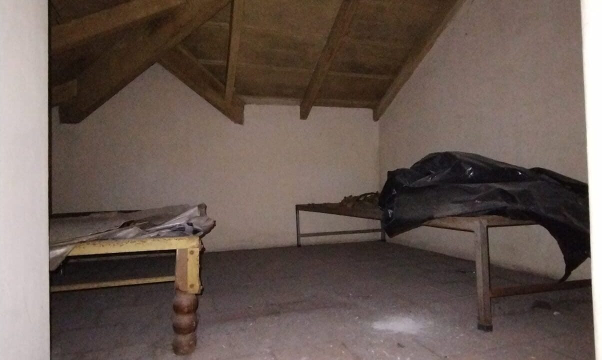 WhatsApp Image 2025-01-12 at 21.46.01