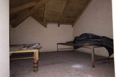 WhatsApp Image 2025-01-12 at 21.46.01