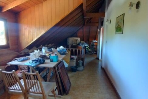 WhatsApp Image 2025-01-20 at 22.48.03