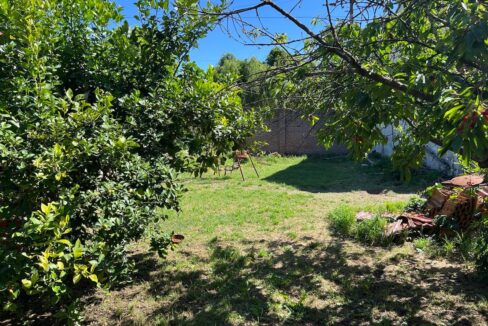 WhatsApp Image 2025-01-20 at 22.52.21