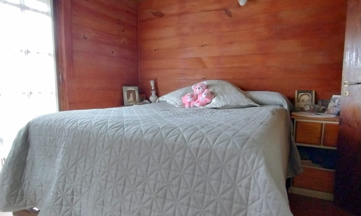 WhatsApp Image 2025-01-26 at 16.49.47