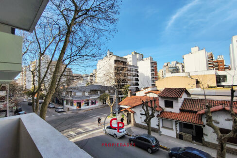 IMG_20250828_150419555_HDR_AE