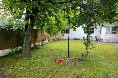 3919dfe0-ee15-4e89-b243-53fe0f104d7d