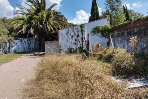 f3f800d8-67bd-4879-92f4-708d9677bb6a